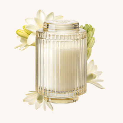 Amélie – Champs de Tuberose Candle - mosswell.us
