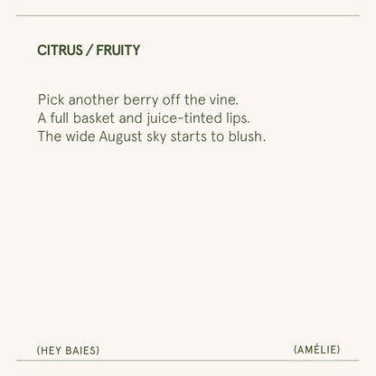 Amélie – Hey Baies Candle - mosswell.us