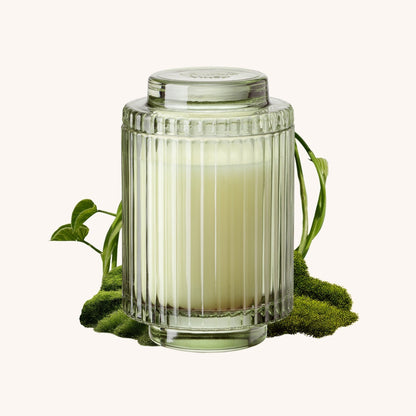 Amélie– Kyoto Vine & Moss Candle - mosswell.us