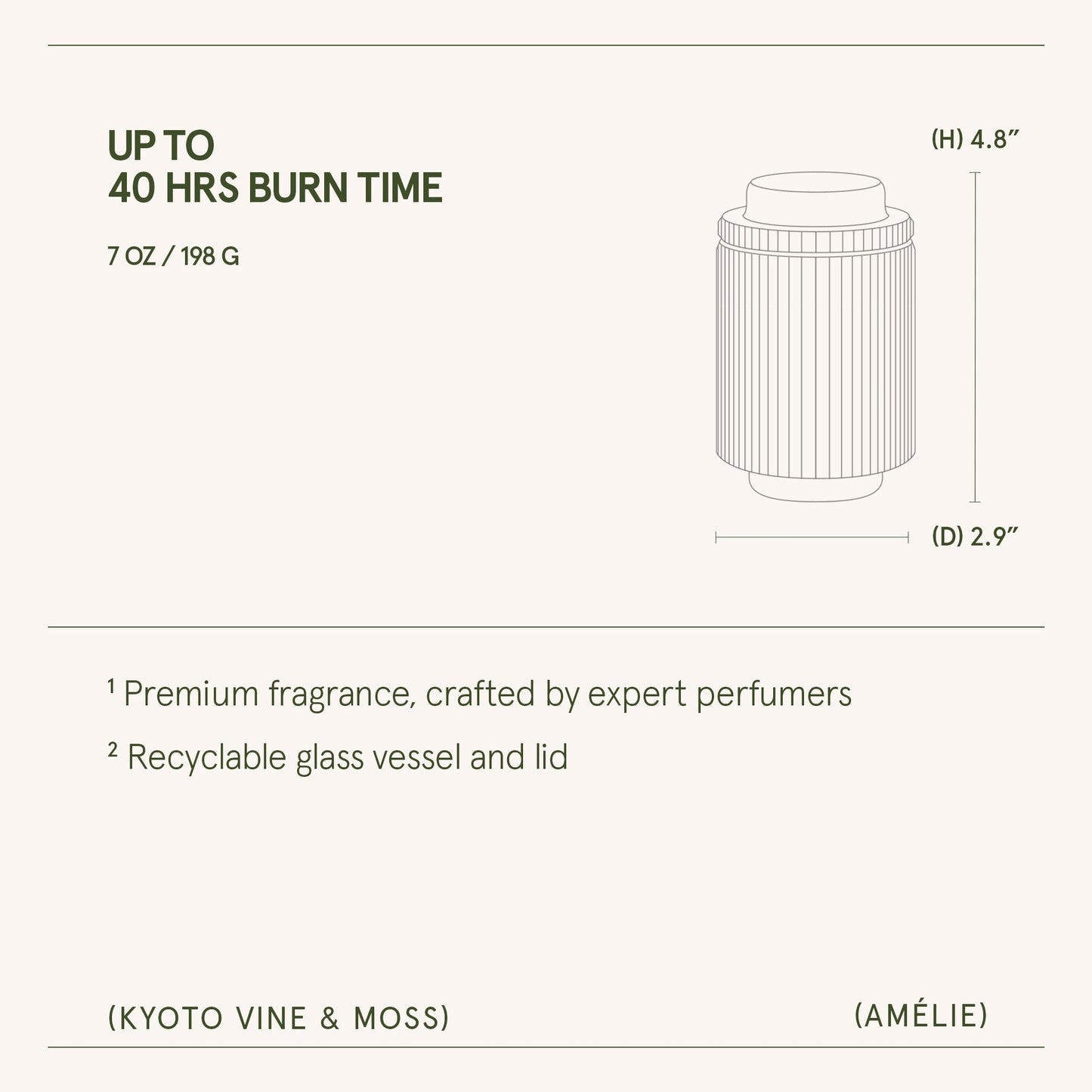 Amélie– Kyoto Vine & Moss Candle - mosswell.us