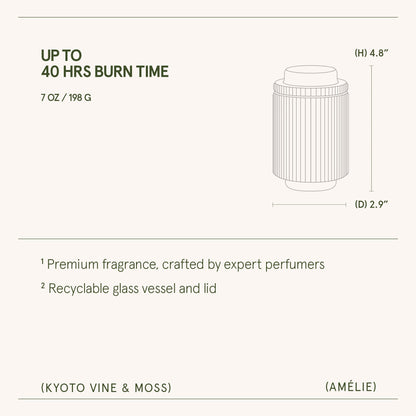 Amélie– Kyoto Vine & Moss Candle - mosswell.us