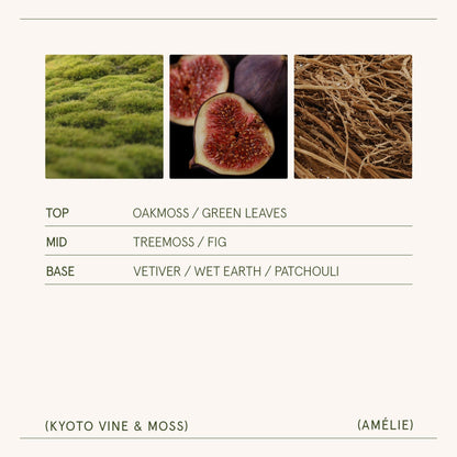 Amélie– Kyoto Vine & Moss Candle - mosswell.us