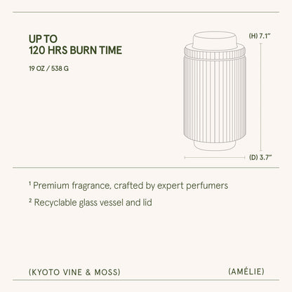 Amélie– Kyoto Vine & Moss Candle - mosswell.us