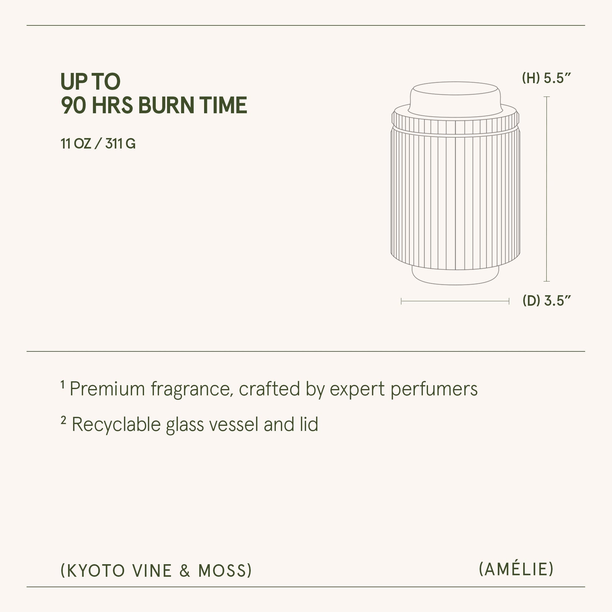 Amélie– Kyoto Vine & Moss Candle - mosswell.us