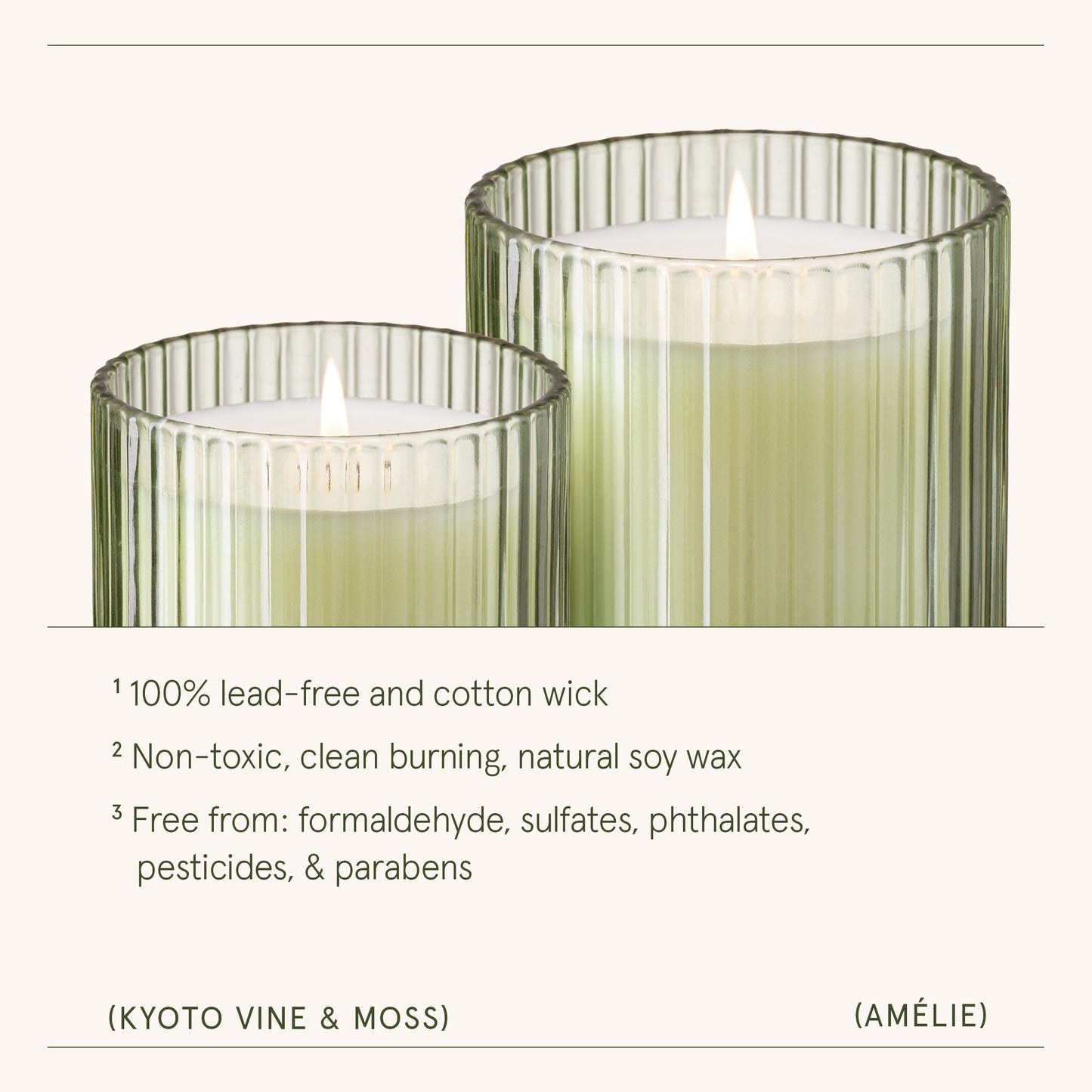 Amélie– Kyoto Vine & Moss Candle - mosswell.us