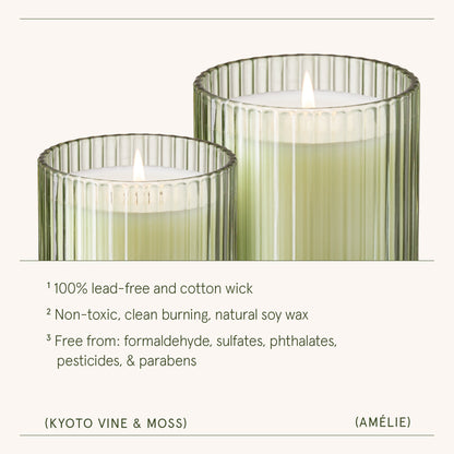 Amélie– Kyoto Vine & Moss Candle - mosswell.us