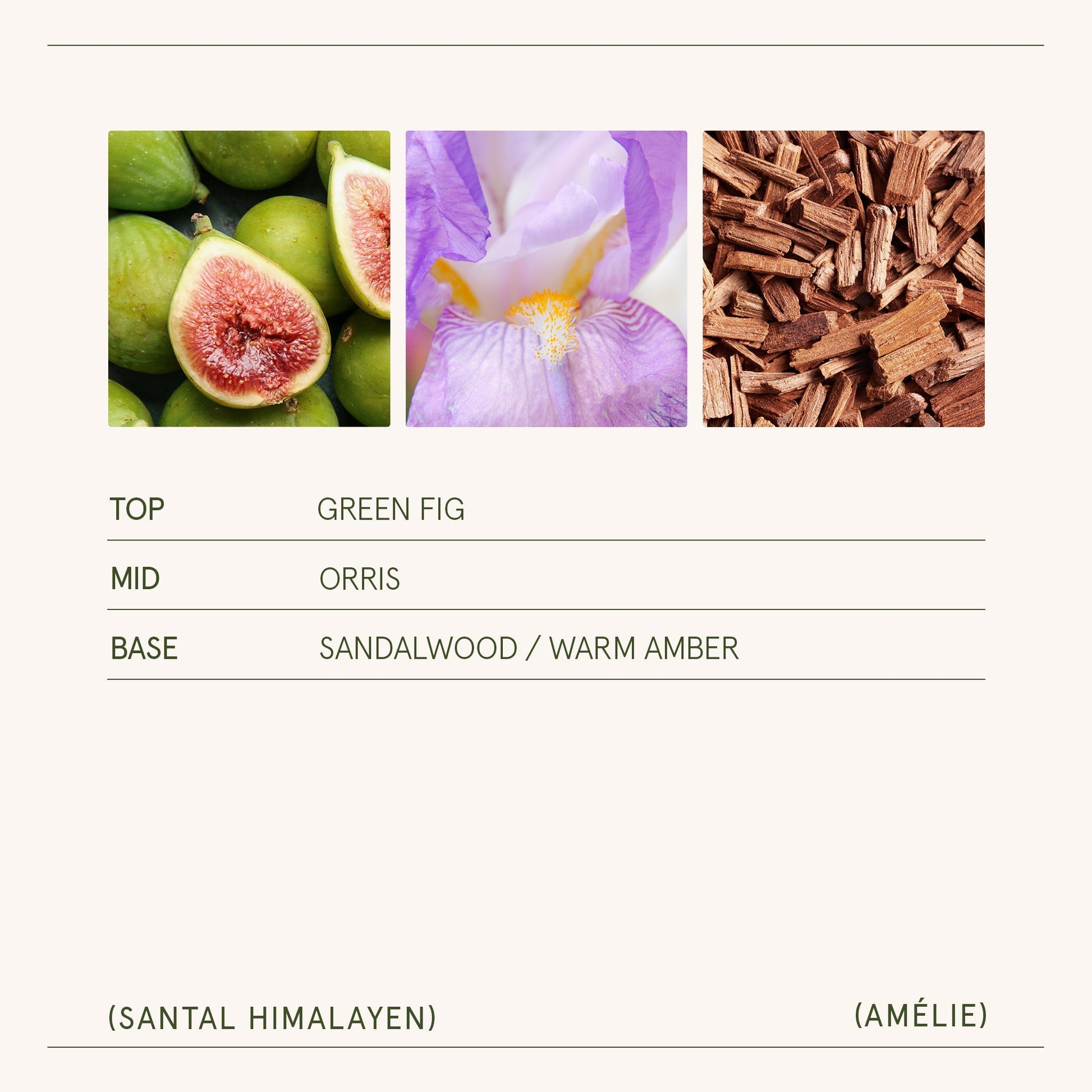 Amélie – Santal Himalayan Candle - mosswell.us