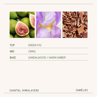 Amélie – Santal Himalayan Candle - mosswell.us