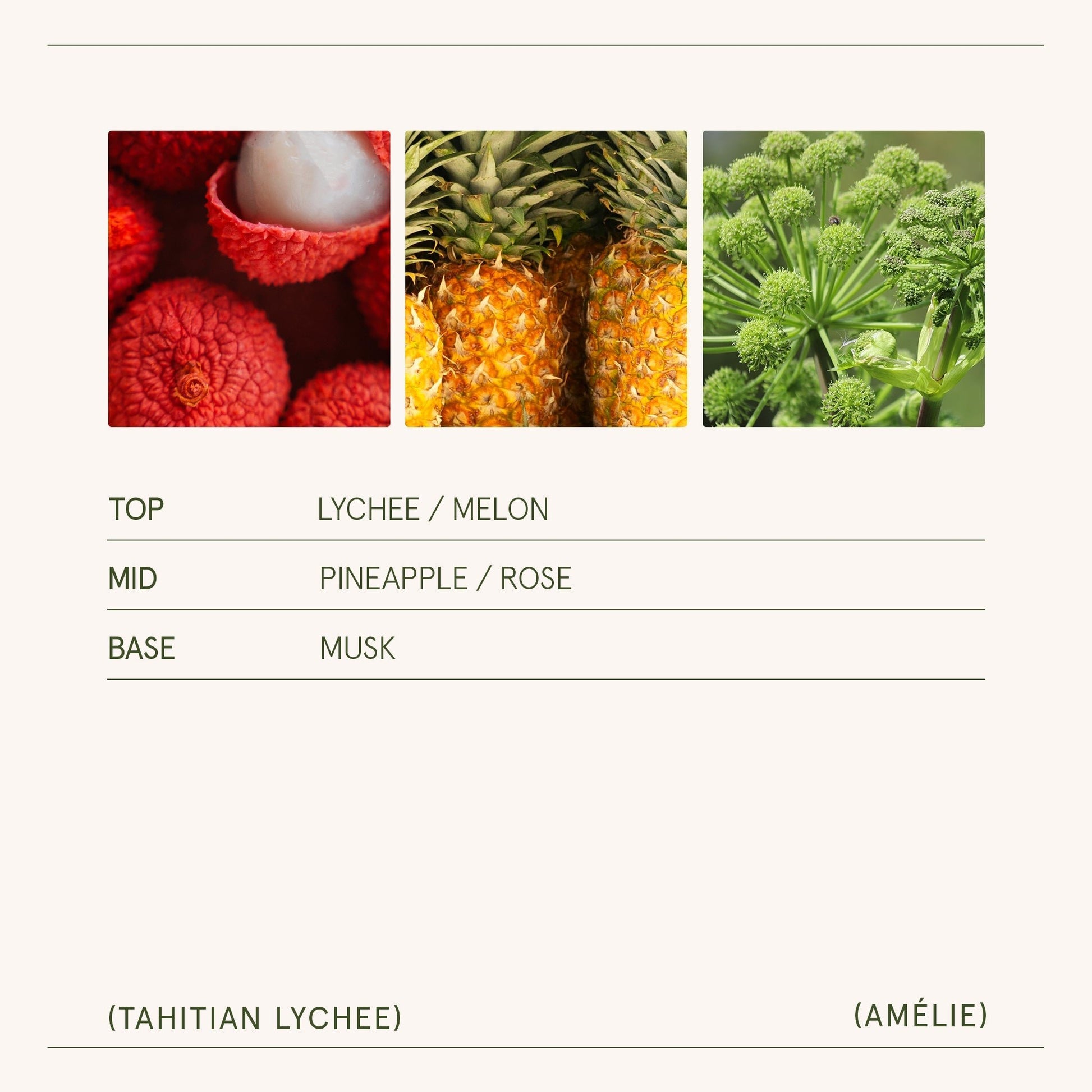 Amélie – Tahitian Lychee Candle - mosswell.us