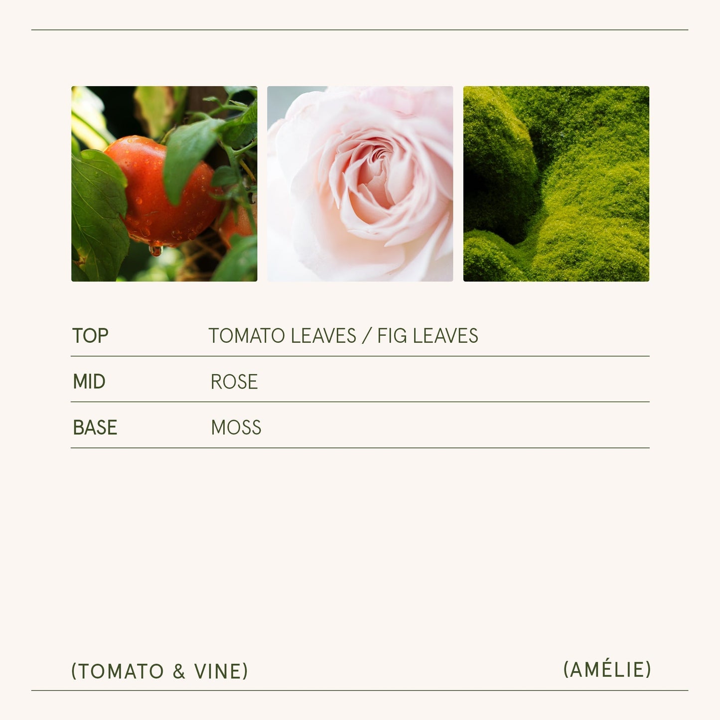 Amélie – Tomato & Vine Candle - mosswell.us