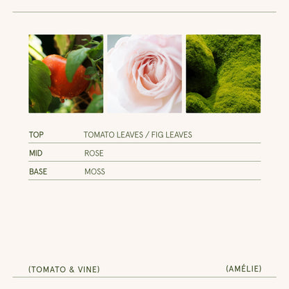 Amélie – Tomato & Vine Candle - mosswell.us