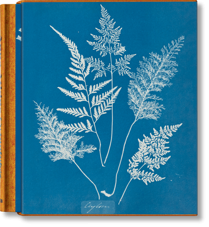 Anna Atkins. Cyanotypes (German, French, English) (FFE) - mosswell.us