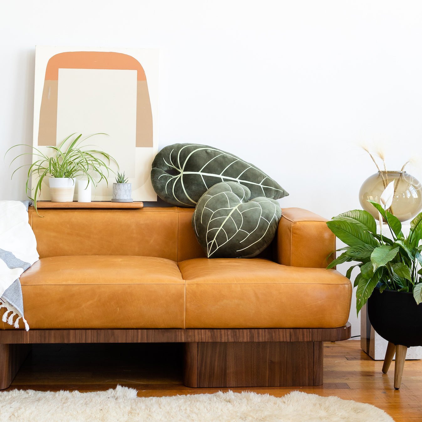 Anthurium Clarinervium - Khaki - mosswell.us