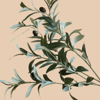 Artificial Fruit Faux Olive Stem 28" Tall - mosswell.us