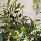Artificial Fruit Faux Olive Stem 28" Tall - mosswell.us