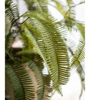 Artificial Green Fern Leaf Stem Plant 37" Tall - mosswell.us