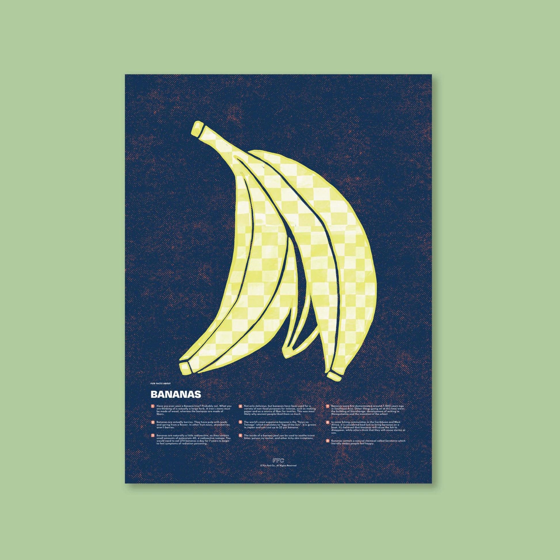 Banana Fun Facts Print - mosswell.us