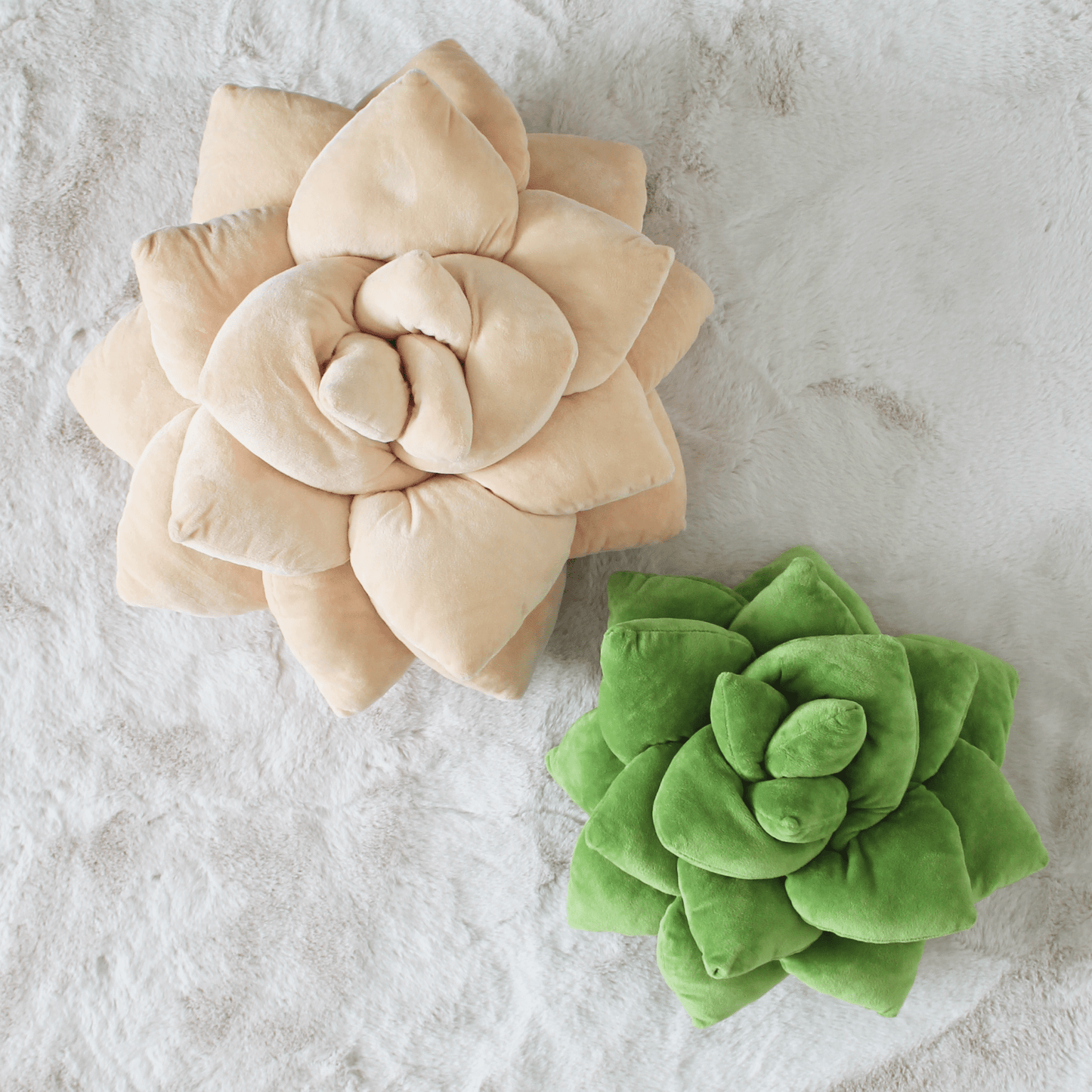 Big Pop Succulent® - Blush Peach - mosswell.us