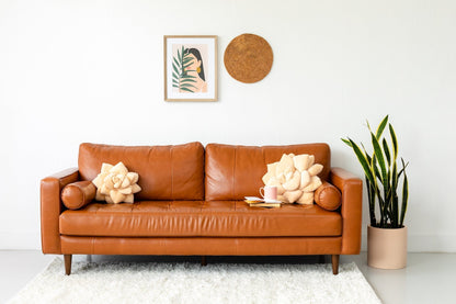 Big Pop Succulent® - Blush Peach - mosswell.us