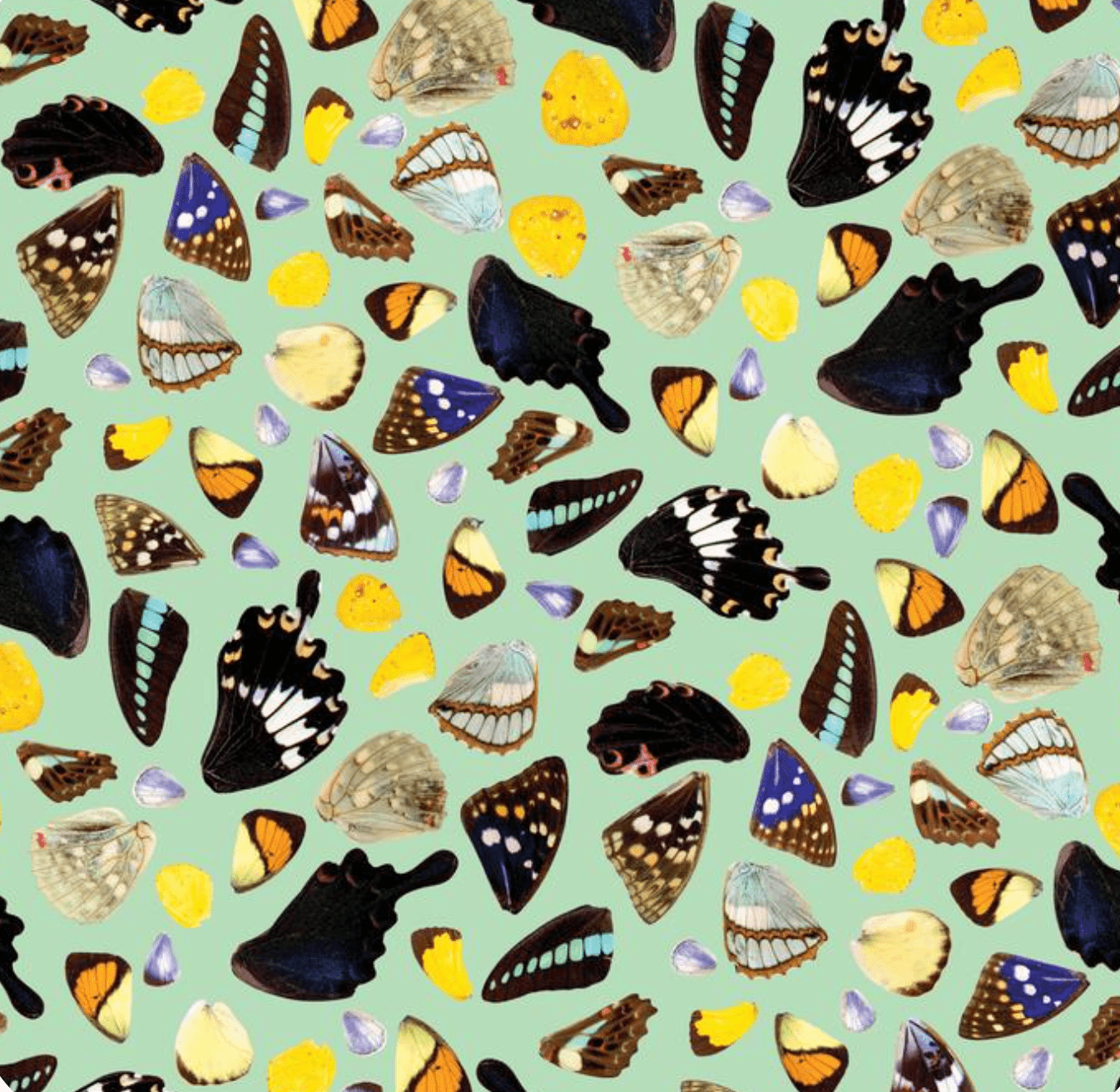 Butterfly Terrazzo Wallpaper, mint - mosswell.us