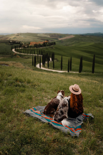 Camp Rapids - mosswell.us