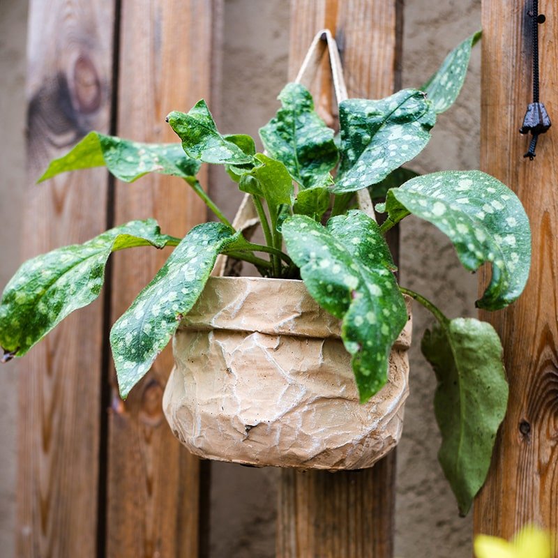 Craft Paper Bag Style Concrete Hanging Pot - mosswell.us