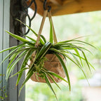 Craft Paper Bag Style Concrete Hanging Pot - mosswell.us