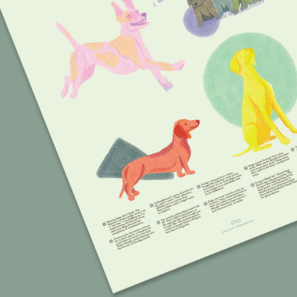 Dog Fun Facts Print - mosswell.us
