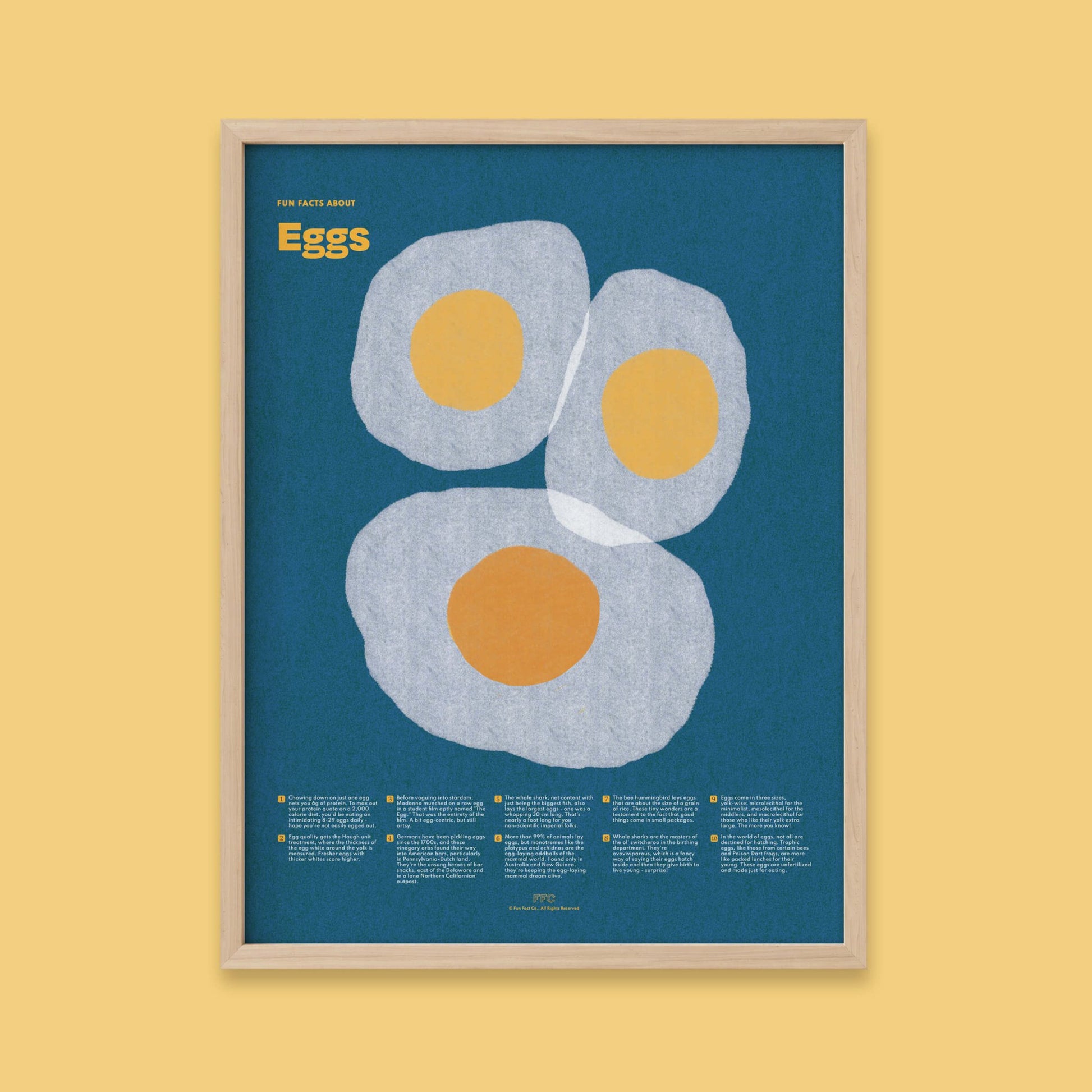Egg Fun Facts Print - mosswell.us