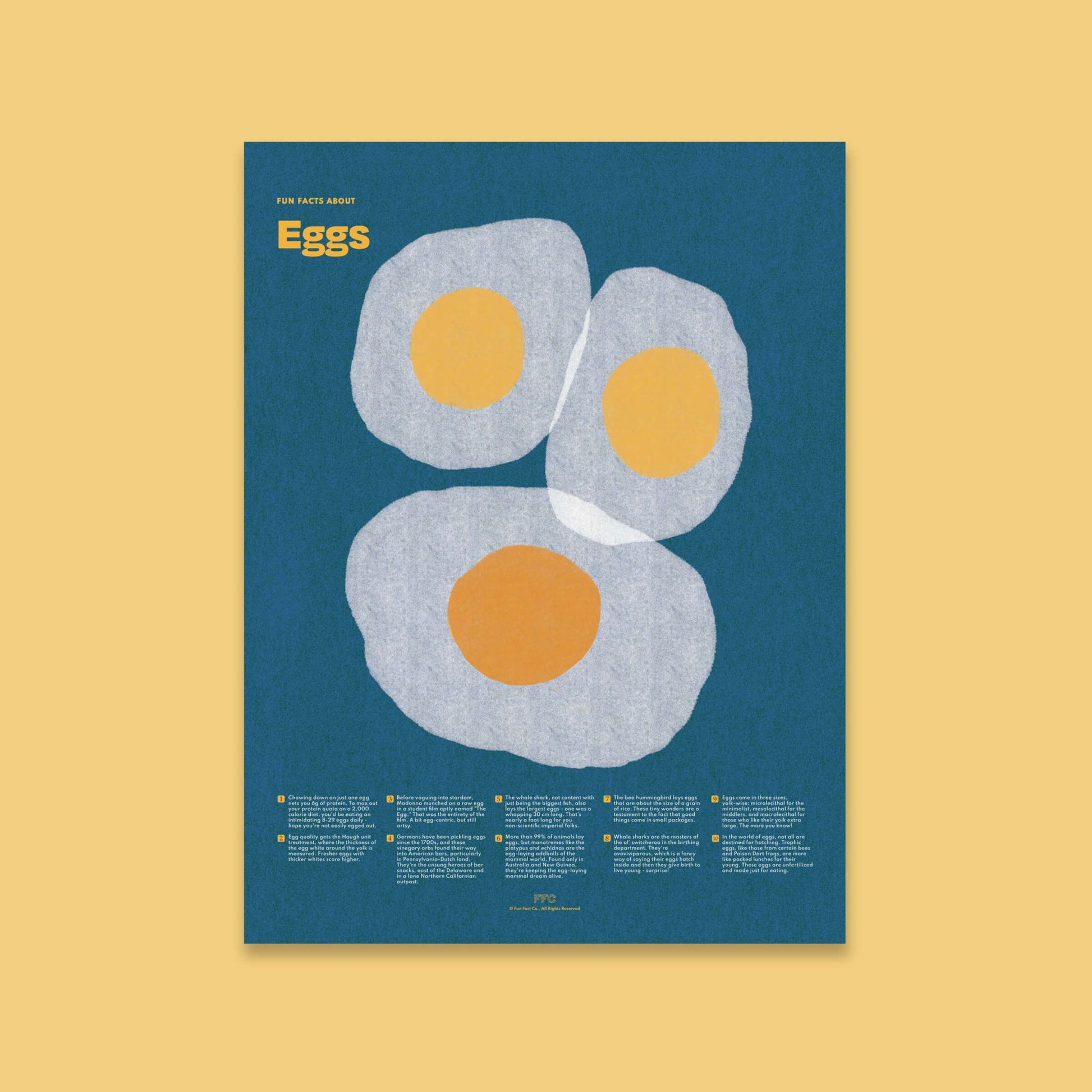 Egg Fun Facts Print - mosswell.us