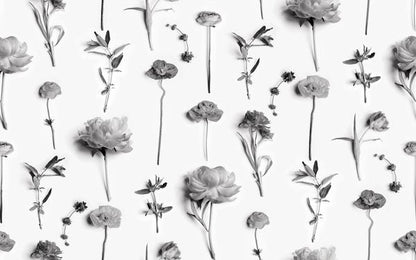 Fresh to Death Wallpaper, small pattern, black and white - mosswell.us