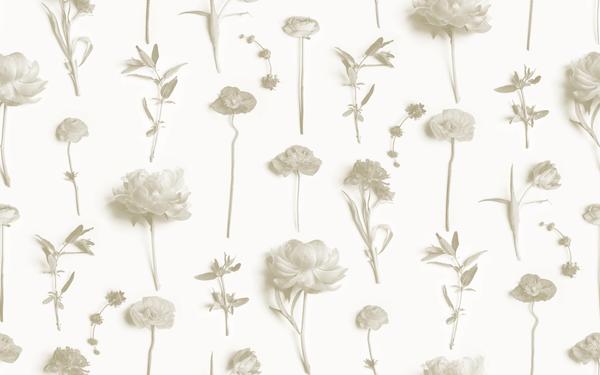 Fresh to Death Wallpaper, small pattern, neutrals - mosswell.us