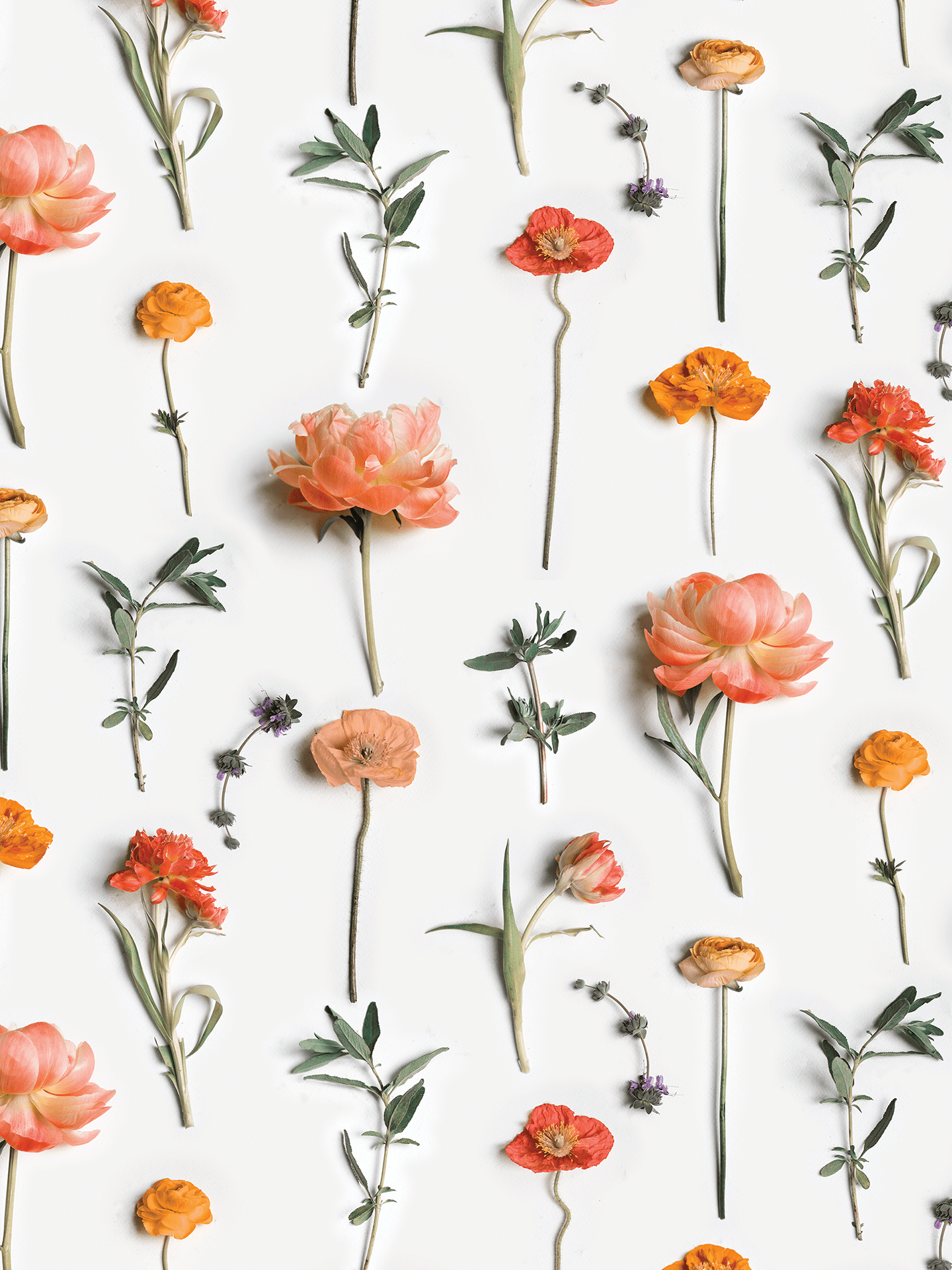 Fresh to Death Wallpaper, standard pattern, autumn - mosswell.us