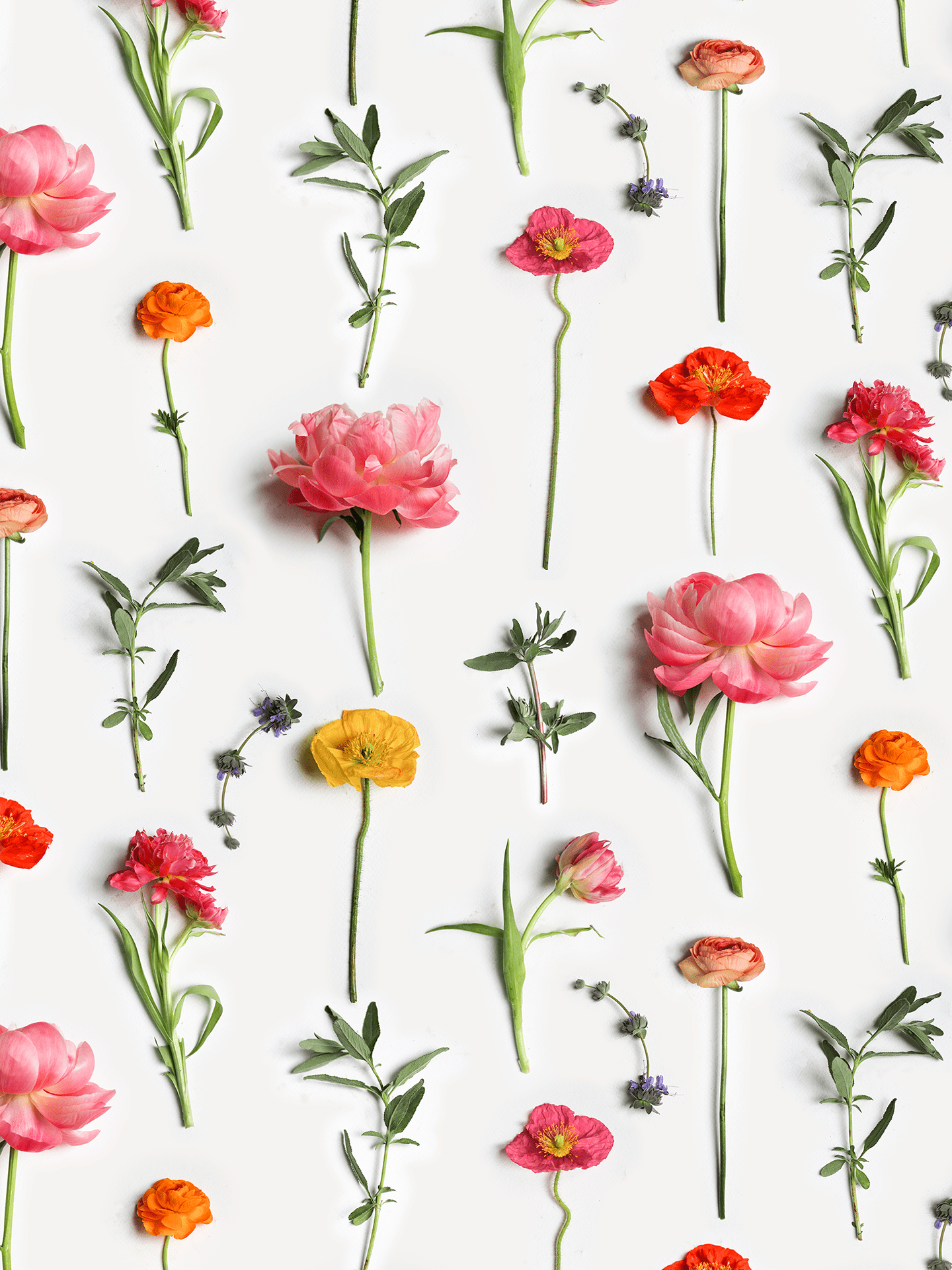 Fresh to Death Wallpaper, standard pattern, spring - mosswell.us