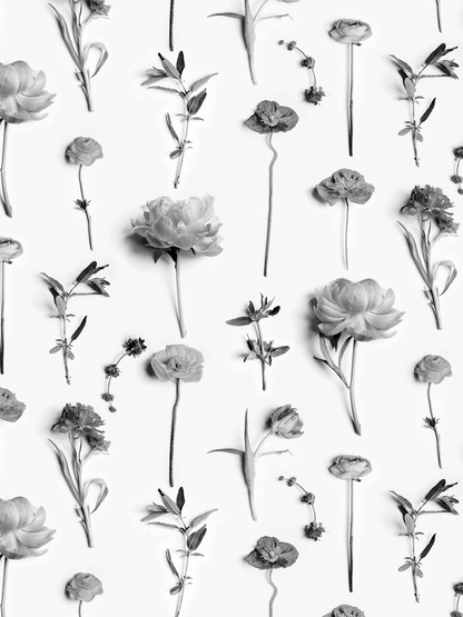 Fresh to Death Wallpaper, standard pattern, white and black - mosswell.us