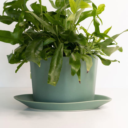 Geometric Oval Handmade Porcelain Planter - mosswell.us