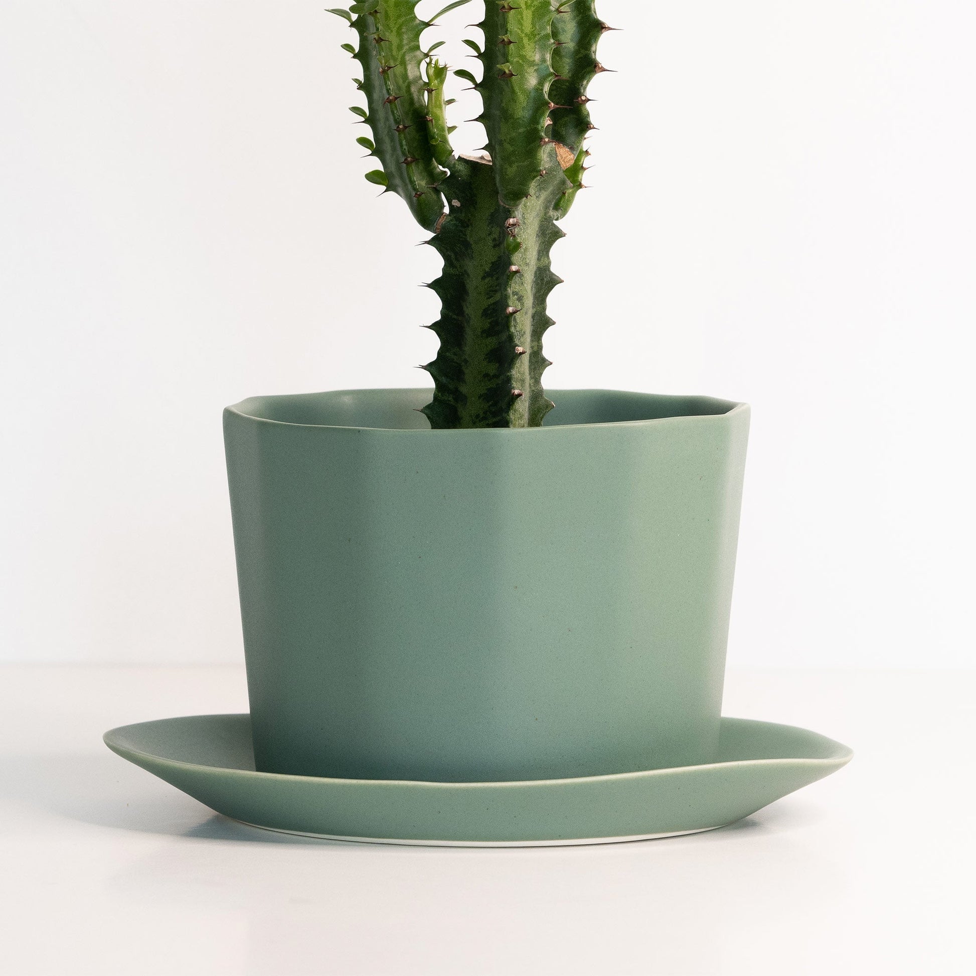 Geometric Oval Handmade Porcelain Planter - mosswell.us