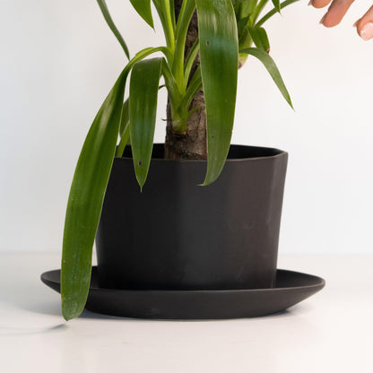 Geometric Oval Handmade Porcelain Planter - mosswell.us