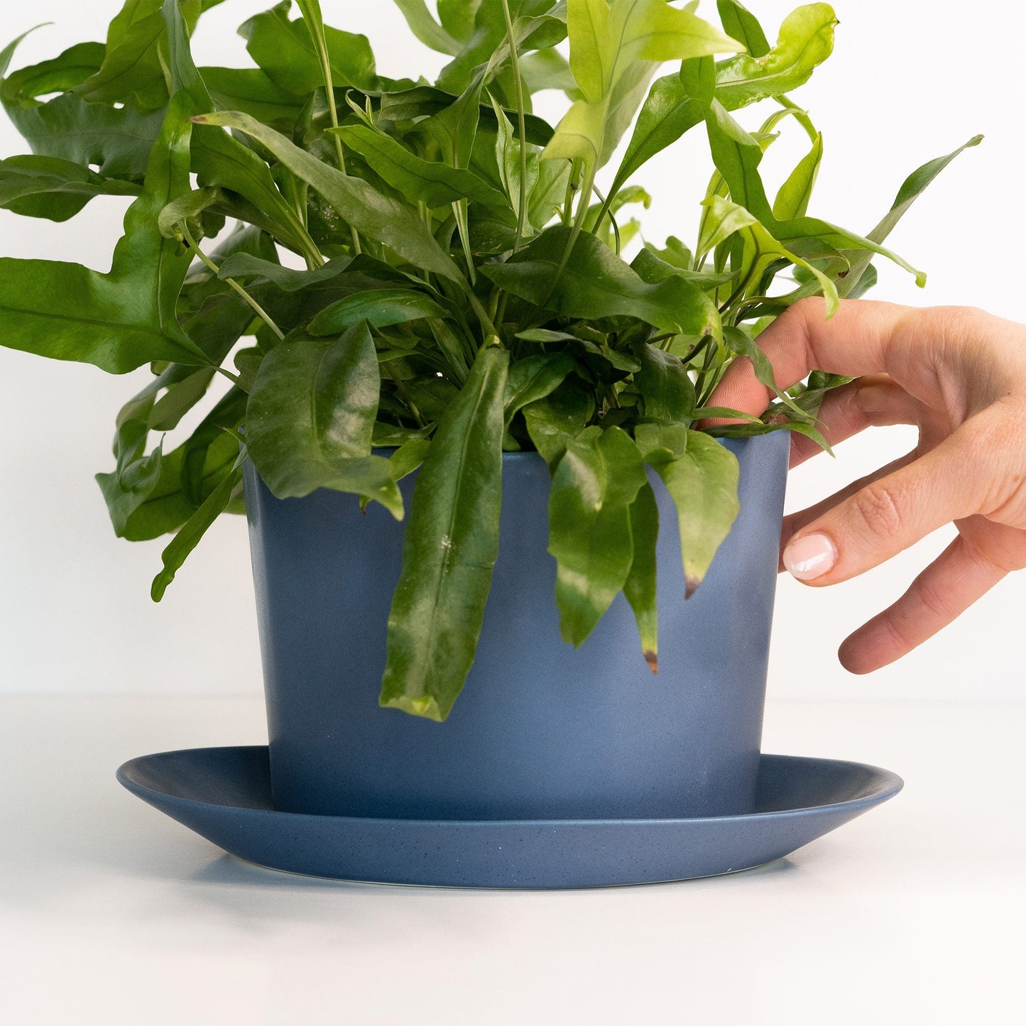 Geometric Oval Handmade Porcelain Planter - mosswell.us