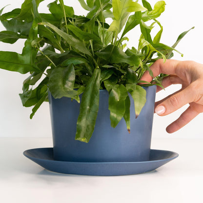 Geometric Oval Handmade Porcelain Planter - mosswell.us