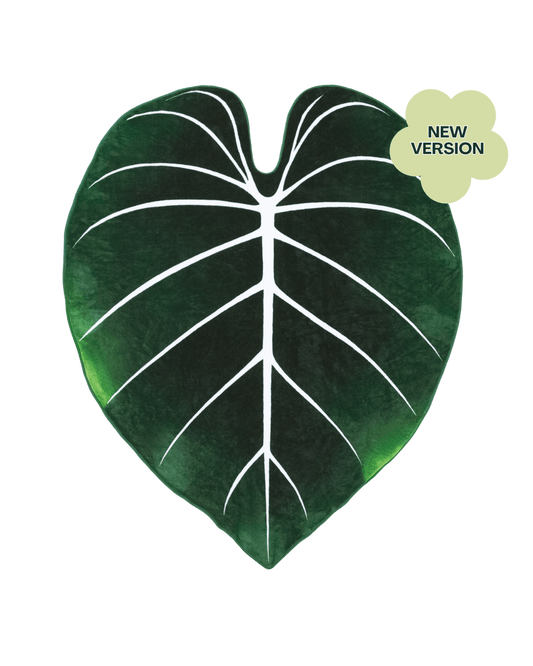 Gloriosum Giant Leaf Blanket - mosswell.us