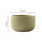 Japanese Ceramic Ramen and Salad Bowl Set - mosswell.us