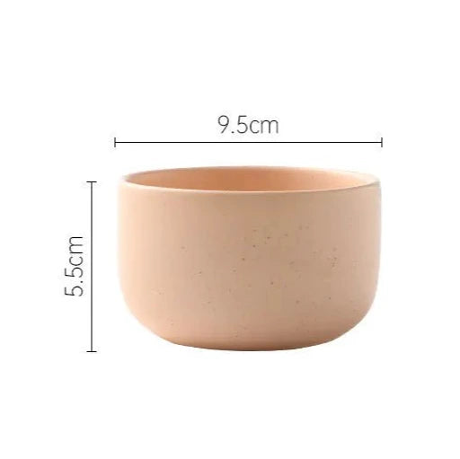 Japanese Ceramic Ramen and Salad Bowl Set - mosswell.us