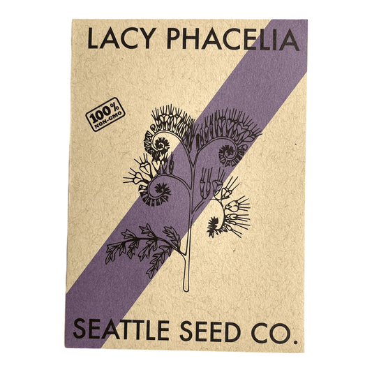 Lacy Phacelia - mosswell.us