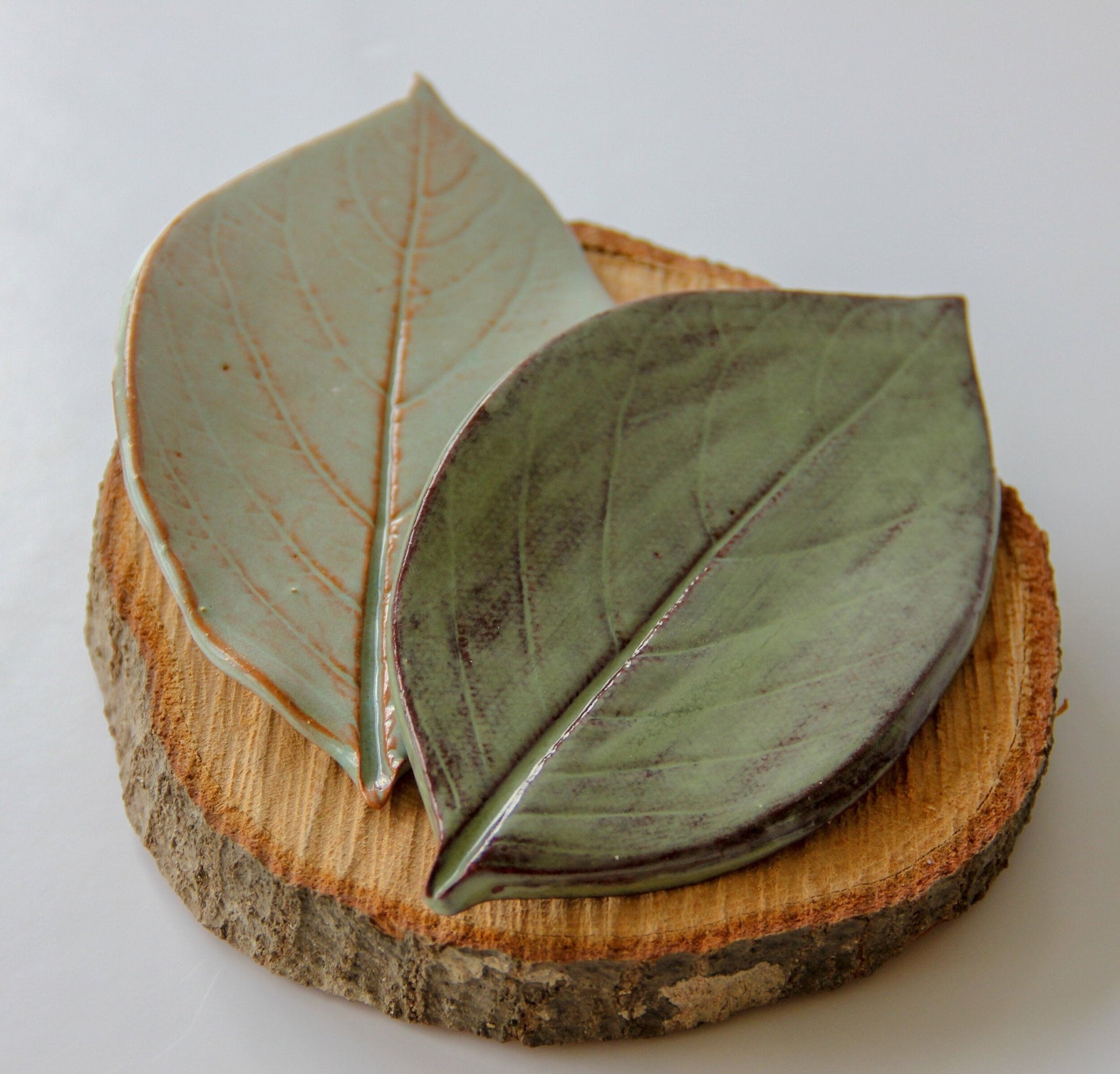Large Leaf Dish - mosswell.us