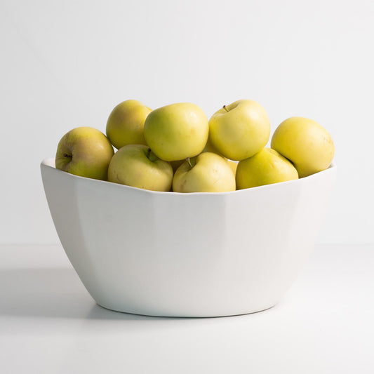 Large Porcelain Nesting Bowl - mosswell.us