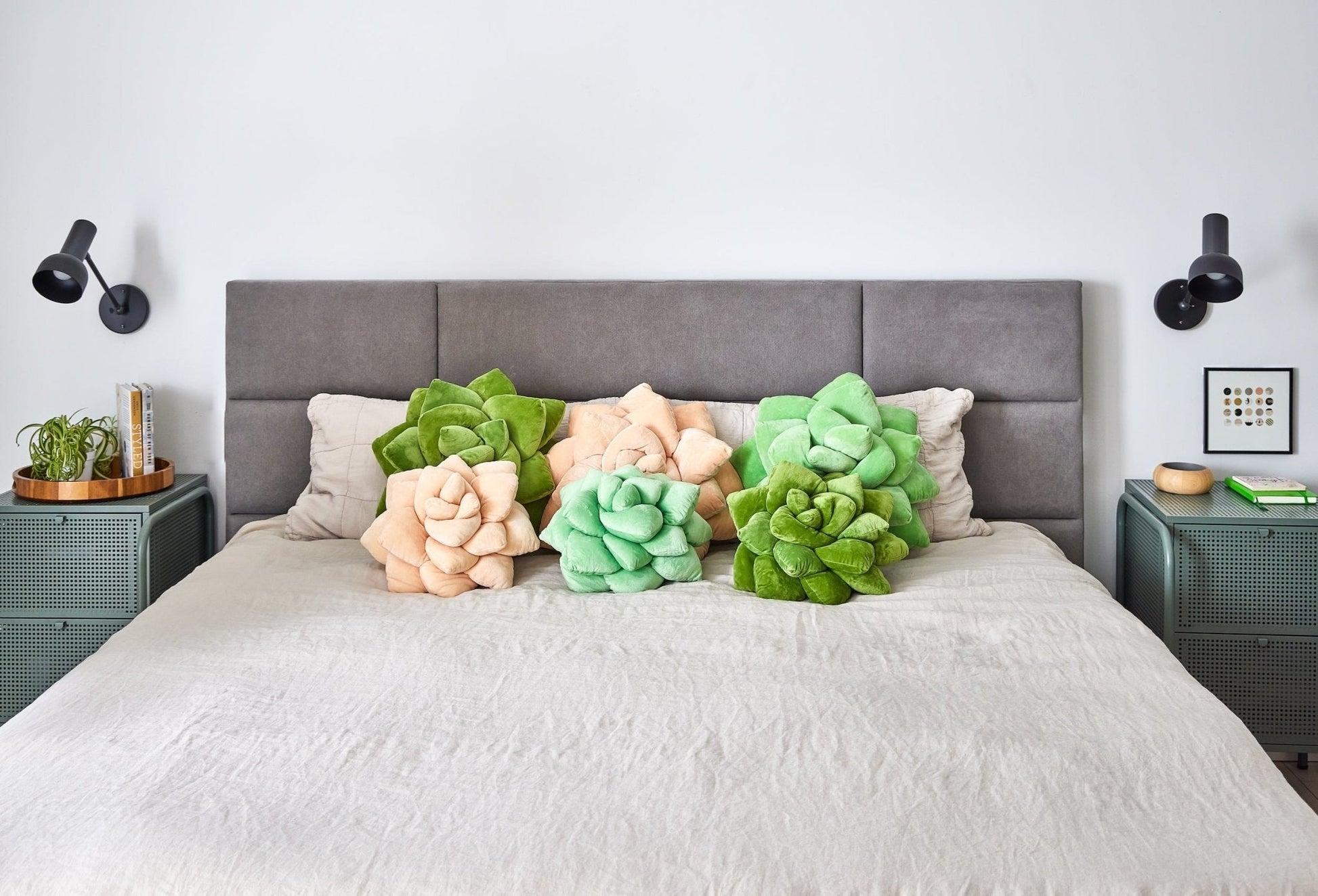 Lil' Pop Succulent® - Blush Peach - mosswell.us