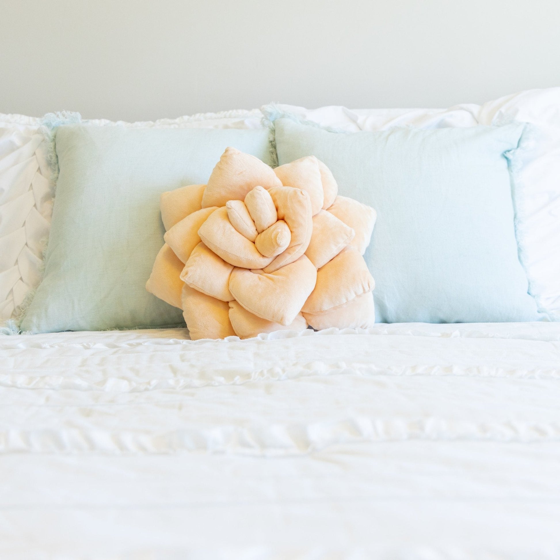 Lil' Pop Succulent® - Blush Peach - mosswell.us