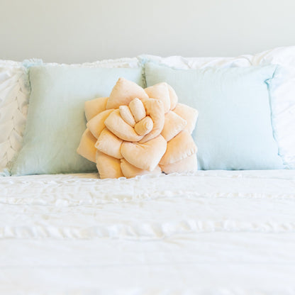 Lil' Pop Succulent® - Blush Peach - mosswell.us