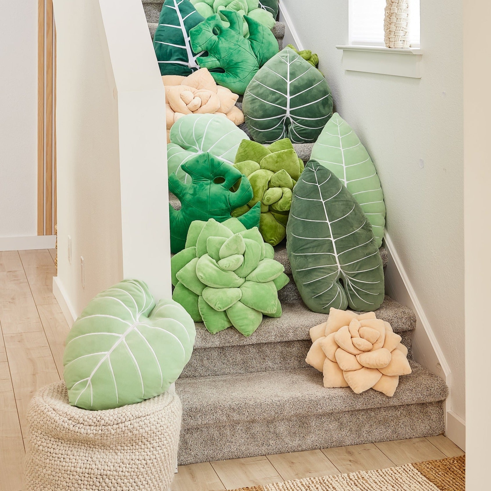 Lil' Pop Succulent® - Blush Peach - mosswell.us